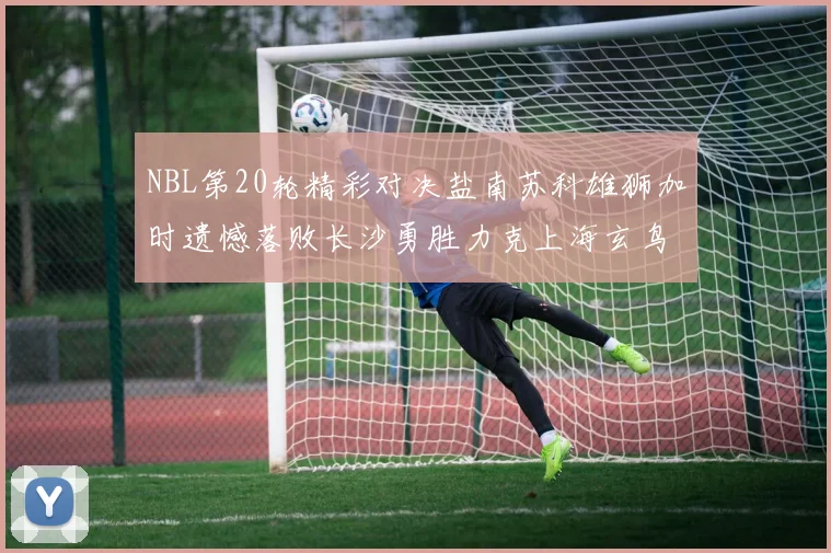 NBL第20轮精彩对决盐南苏科雄狮加时遗憾落败长沙勇胜力克上海玄鸟