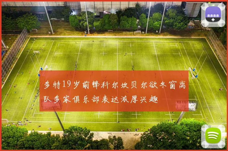 多特19岁前锋科尔坎贝尔欲冬窗离队多家俱乐部表达浓厚兴趣
