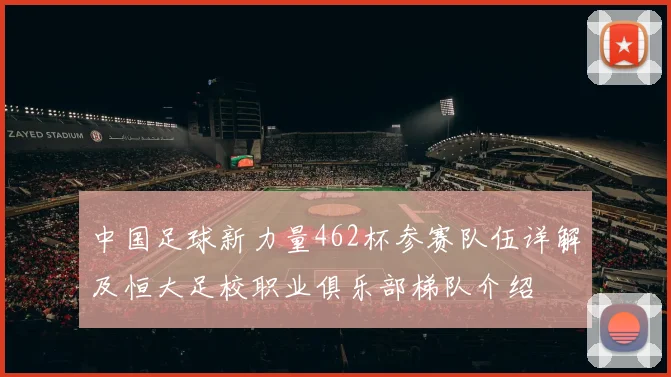 中国足球新力量462杯参赛队伍详解及恒大足校职业俱乐部梯队介绍