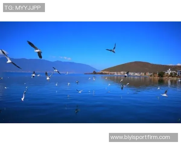 滇池湖畔武汉三镇一线队与B队2026赛季昆明冬训正式开启新征程